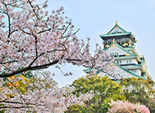 张镇麟对阵广东个人集锦回顾，全场得到23分3板2断